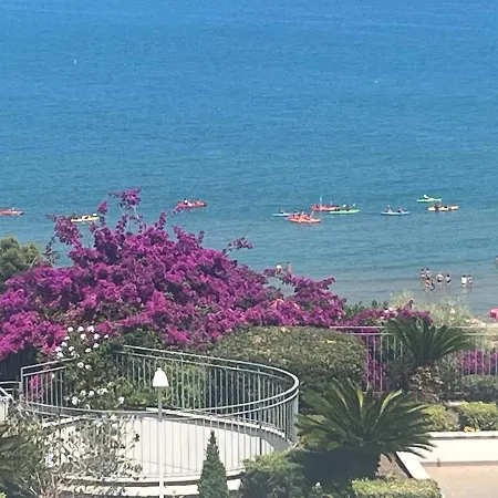 Dream Of The Sea Vasto