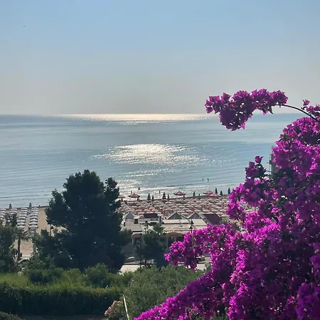 Dream Of The Sea アパート